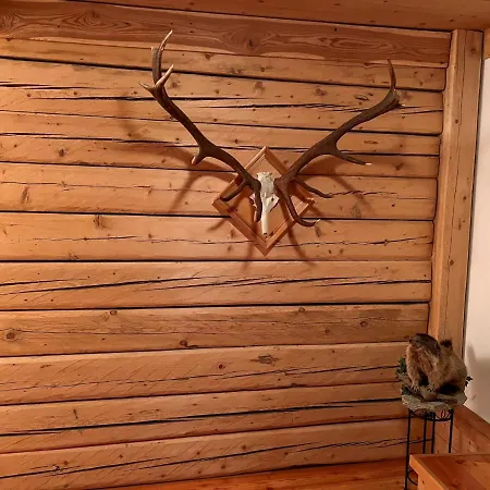 Apartmán Haslinghof By Interhome Piesendorf