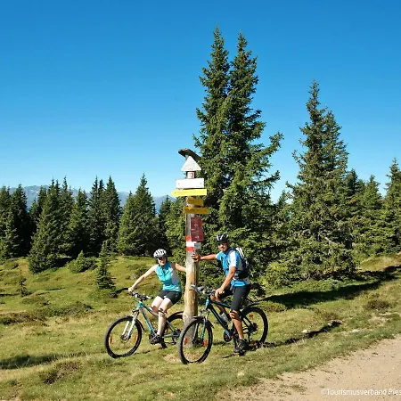 公寓 Haslinghof By Interhome