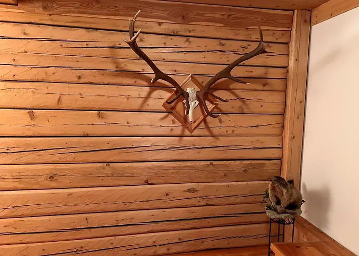 Apartman Haslinghof By Interhome Piesendorf